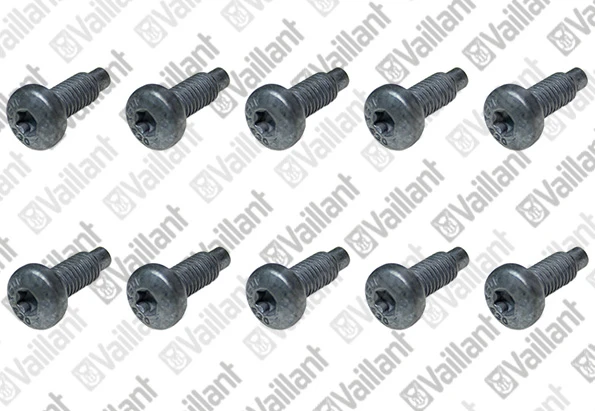 VAILLANT WSS Vis, (x10)
