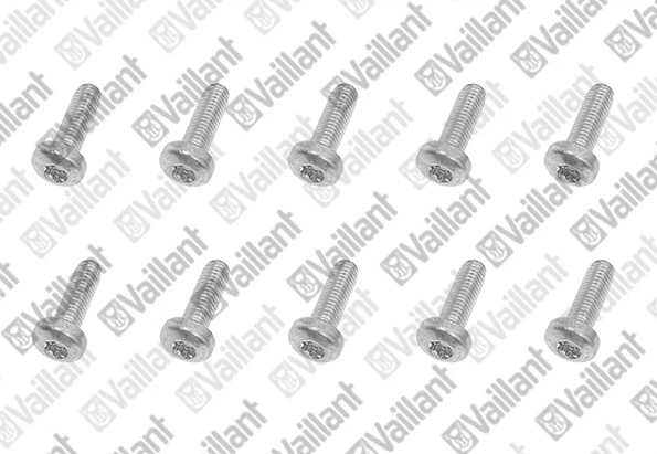VAILLANT WSS Vis, (x10)