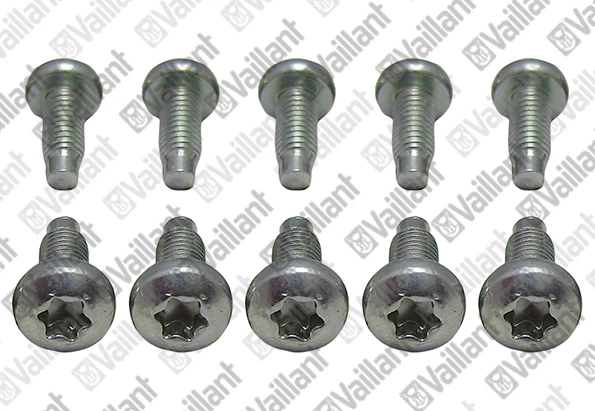 VAILLANT WSS Vis, (x10)