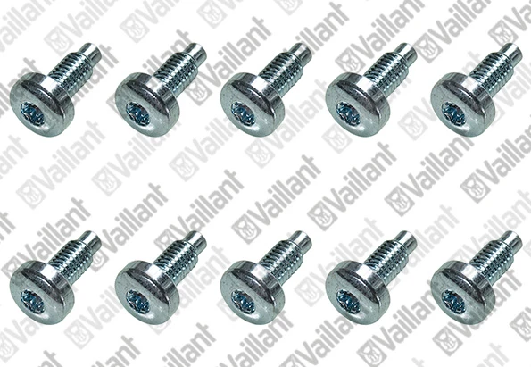 VAILLANT WSS Vis, (x10)