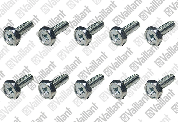 VAILLANT WSS Vis, (x10)