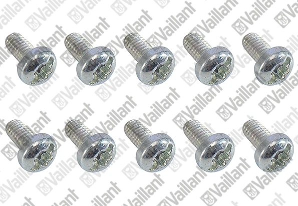 VAILLANT WSS Vis, (x10)
