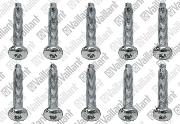 VAILLANT WSS Vis, (x10)