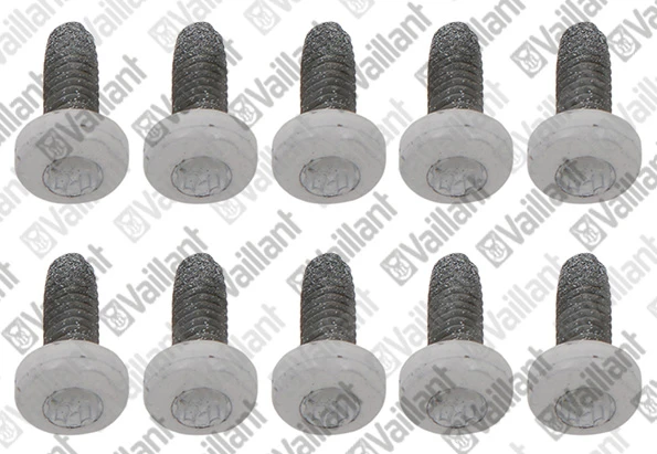 VAILLANT WSS Vis, (x10)