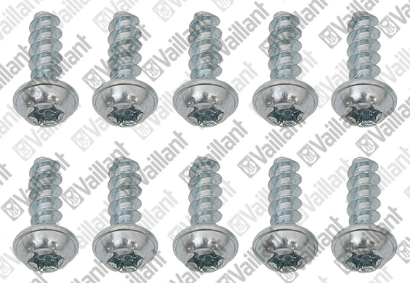 VAILLANT WSS Vis, (x10)