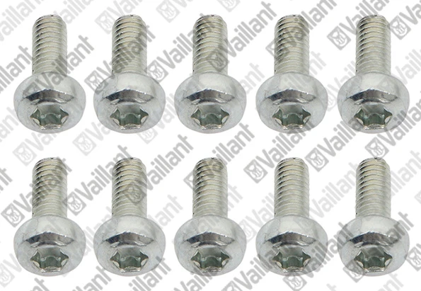 VAILLANT WSS Vis, (x10)