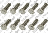 VAILLANT WSS Vis, (x10)