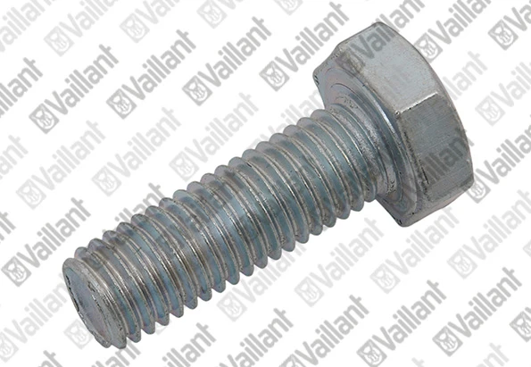 VAILLANT WSS Vis, H M10 - 30 Zn pour support 100L