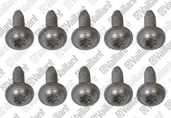 VAILLANT WSS Vis, (x10)