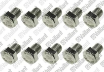 VAILLANT WSS Vis, (x10)