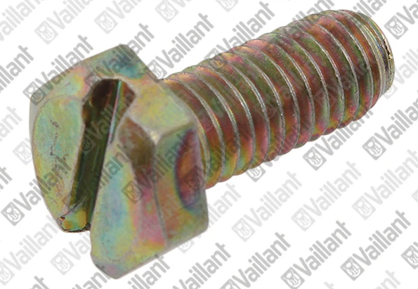 VAILLANT WSS Vis hexagonale