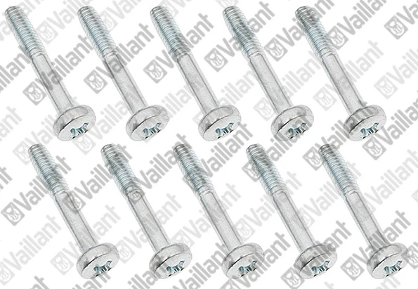 VAILLANT WSS Vis, (x10)