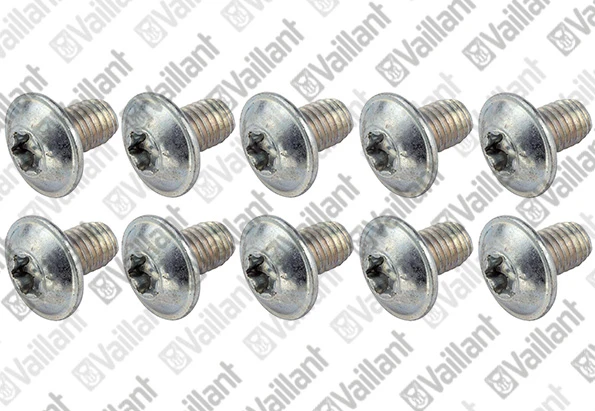 VAILLANT WSS Vis, (x10)