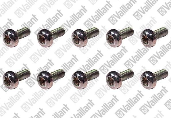 VAILLANT WSS Vis, M4x10, (x10)