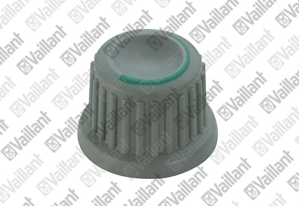 BOUTON VAILLANT gris