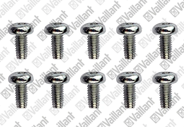VAILLANT WSS Vis de cylindre, (x10)