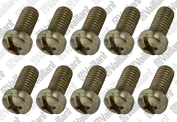 VAILLANT WSS Vis, (x10)