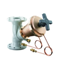 Oventrop Hydromat DFC drukverschilregelaar met flensaansluiting DN65, PN16, 200-1000mbar,GG/Rg gietijzer