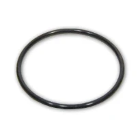 KIN WSS O-ring préfiltre