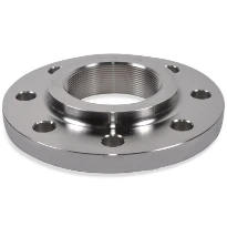 STD Galva bride filetée DN65 x 2 1/2 - PN10/16 - 8 trous - DIN 2566
