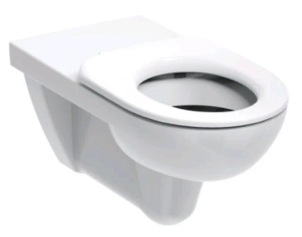 Geberit Renova Nr1 Comfort cuvette suspendue version longue - blanc - B356xP700 mm