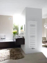 ZEHNDER Metropolitan Spa radhanddoekdroger H805xB500  388W wit RAL 9016