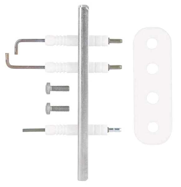 Bosch WSS électrode avec joint