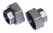Wilo 2-del draadkopp 2"x5/4"F