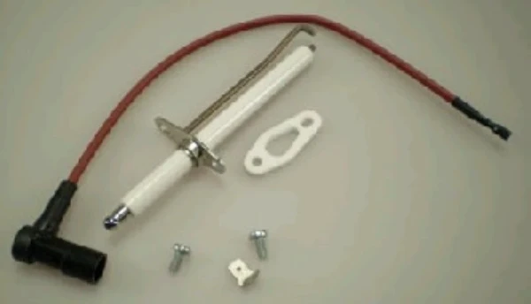 Daalderop WSS électrode d'allumage (câble + broche) Combifort