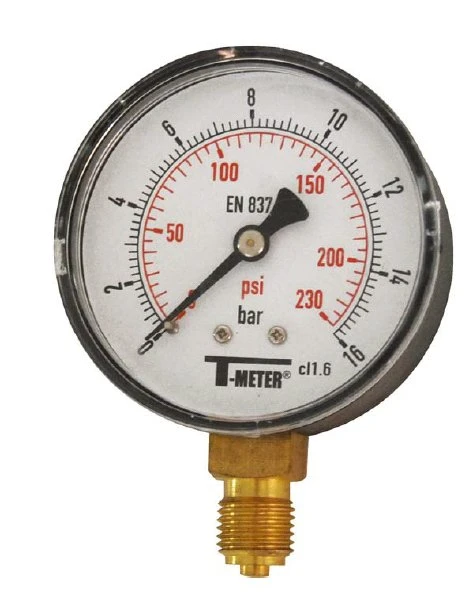 SFERACO 1645 ABS manometer radiaal dia 100 1/2"M 0-25 bar