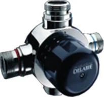 Delabie Premix Comfort robinet thermostatique M 5/4" - type T4 chromé