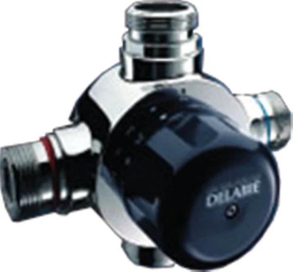 Delabie Premix Comfort robinet thermostatique M 5/4" - type T4 chromé