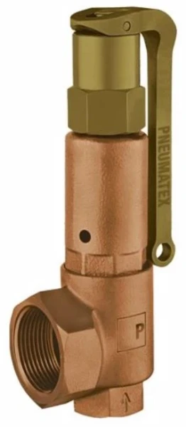 IMI Hydronics veiligheidsventiel | DSV DN32-3.0 dgh