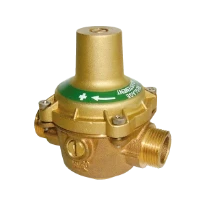 WATTS RDP 11 DN20