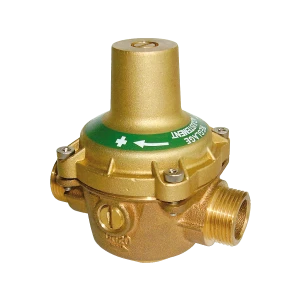 WATTS RDP 11 DN20
