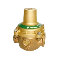 WATTS RDP 11BIS DN15
