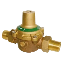 WATTS RDP 11 DO DN25