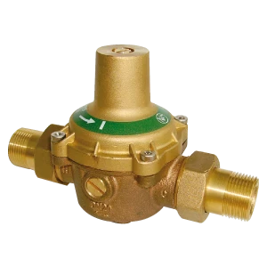 WATTS RDP 11 DO DN20