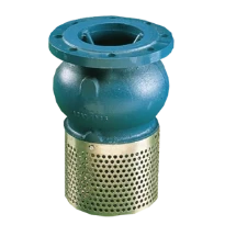 WATTS Clapet de pied crépine 302 DN65