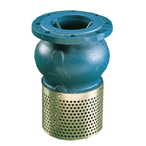 149B2757 Watts Voetklep 302 DN100 16B Flens PN10 Zuigkorf Gegalvanis. staal