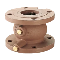 WATTS Clapet non retour 402TTP DN100