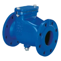 WATTS Clapet non retour 405 DN150