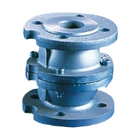 WATTS Clapet non retour 407 DN80