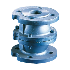 WATTS Clapet non retour 407 DN80