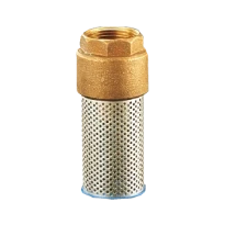 WATTS Clapet de pied crépine 60S DN1"