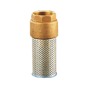 WATTS Clapet de pied crépine 60S DN1"