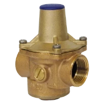 WATTS RDP JUNIOR 7BIS DN15