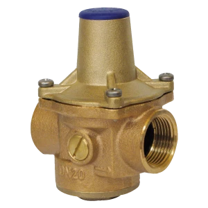 WATTS RDP JUNIOR 7BIS DN15