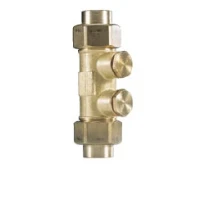 WATTS Clapet antipollution PI 32 Purge+Contrôle 5/4" FF