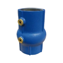 Watts EA253 clapet anti-retour FF 2 1/2 x 2 1/2 - fonte - agréé Belgaqua